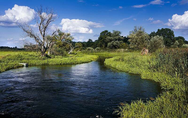 



    
        
                Naturpark Westhavelland,
            
        
                Foto: Naturschutzfonds Brandenburg/Sebastian Hennigs
            
    
