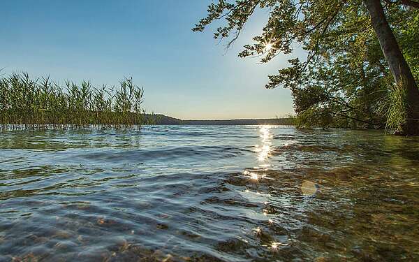 Blick auf den Stechlinsee