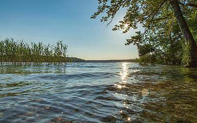 Blick auf den Stechlinsee