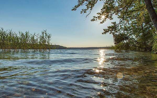 Blick auf den Stechlinsee