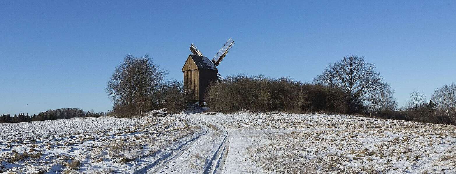 Bockwindmühle Borne