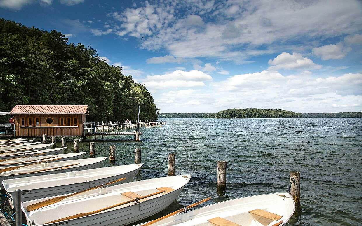 Boote auf dem Stechlinsee