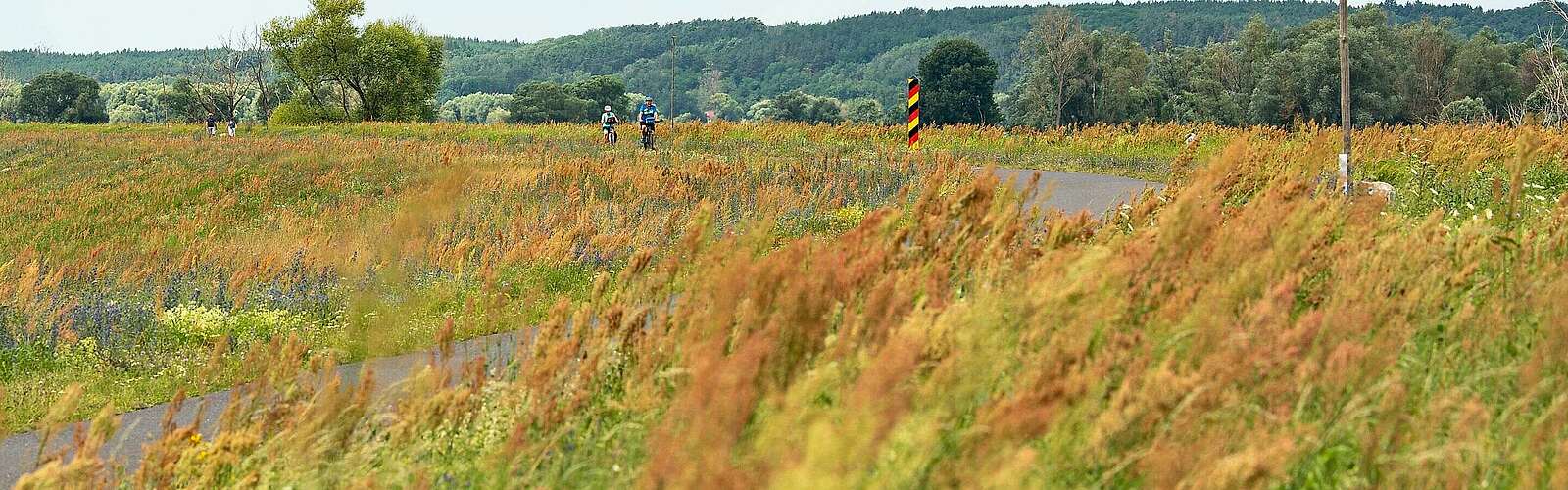 Oder-Neiße-Radweg,
            
        
                Foto: TMB Tourismus-Marketing Brandenburg GmbH/Steffen Lehmann