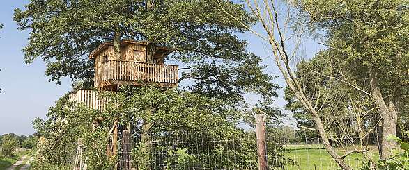 Baumhaus auf Gut Gollin