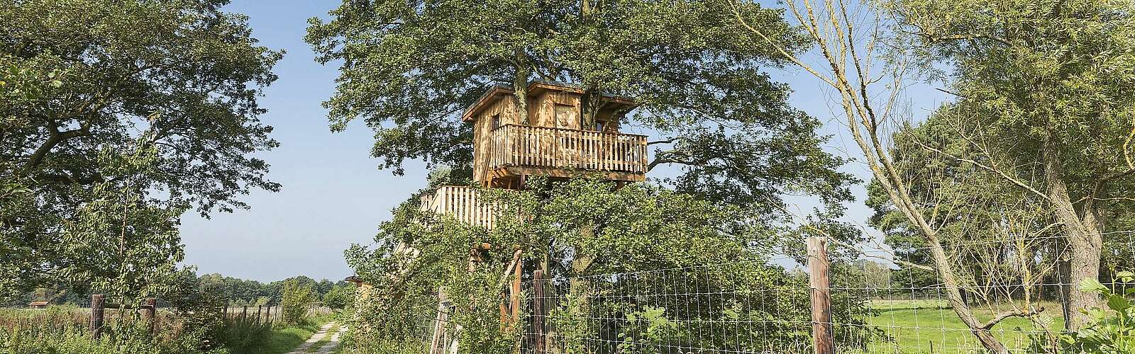 Baumhaus auf Gut Gollin,
            
        
                Foto: TMB Tourismus-Marketing Brandenburg GmbH/Steffen Lehmann