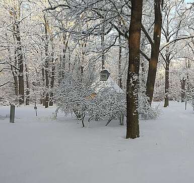 Park des Ringhotels Schorfheide im Winter