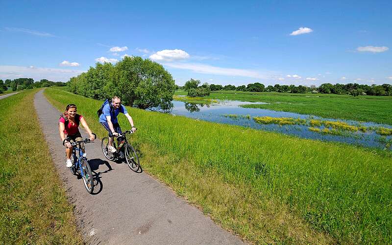 Radfahrer Oder-Neiße-Radweg