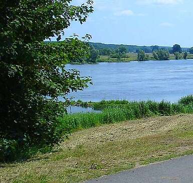 Radfahrer auf dem Oder-Neiße-Radweg