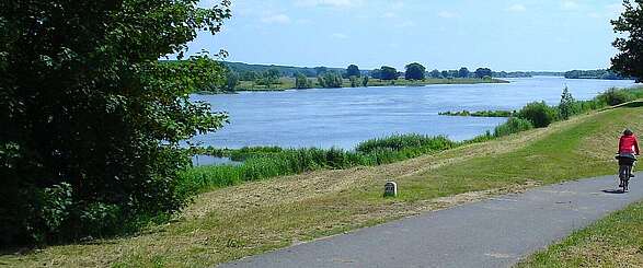 Radfahrer auf dem Oder-Neiße-Radweg