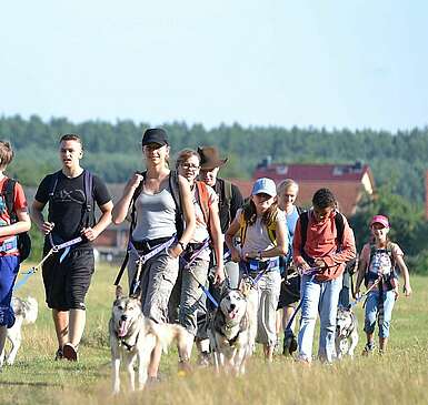 Freizeit mit Huskies