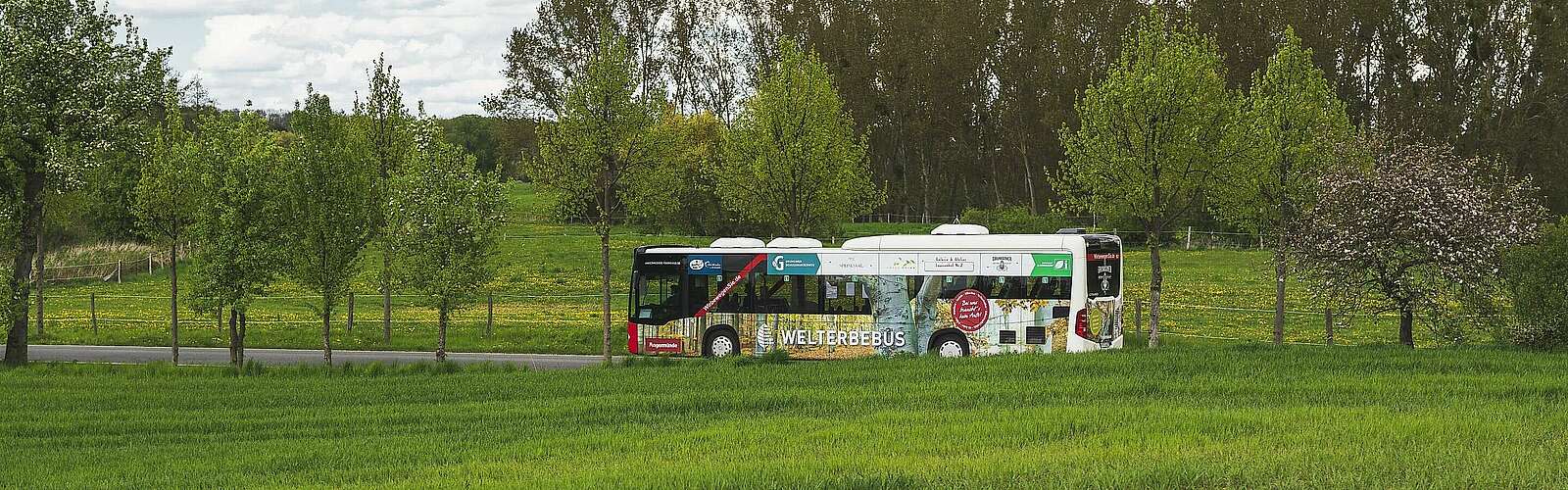 Mit dem Welterbebus in den Grumsin,
        
    

        Foto: Fotograf / Lizenz - Media Import/Steffen Lehmann