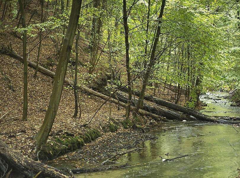 Naturpark Barnim