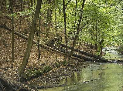 Naturpark Barnim