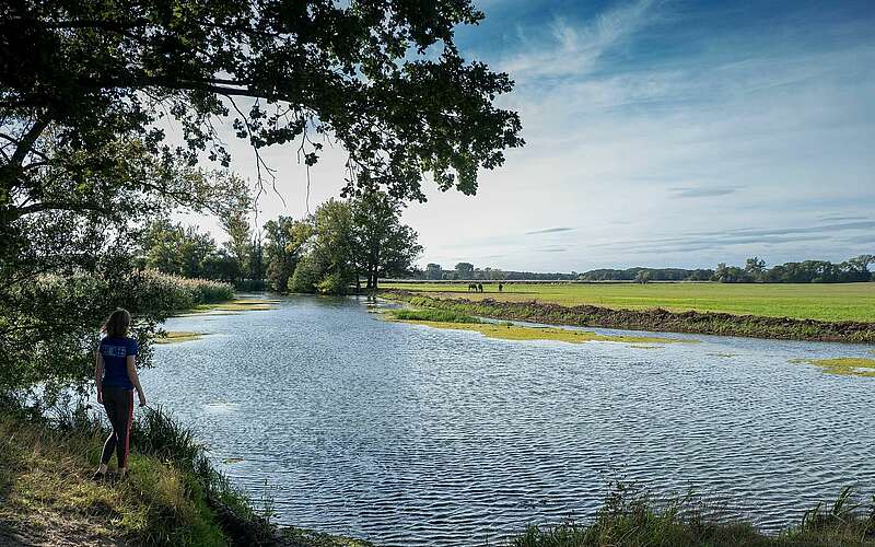 



    
        
                Kanutour auf der Unteren Havel,
            
        
                Foto: TMB Tourismus-Marketing Brandenburg GmbH/Geertje Jacob
            
    
