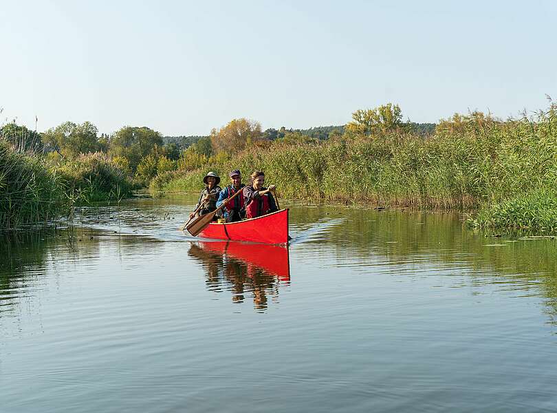 Kanutour im Nationalpark Unteres Odertal