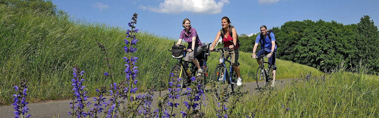 Radfahrer auf dem Oder-Neiße-Radweg,
            
        
                Foto: TMB Tourismus-Marketing Brandenburg GmbH/Carsten Rasmus