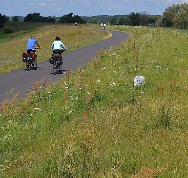 Zwei Radfahrer auf dem Oder-Neiße-Radweg