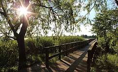 Blankensee im Naturpark Nuthe-Nieplitz