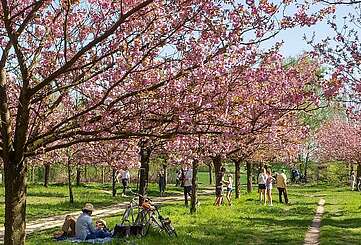 Frühling