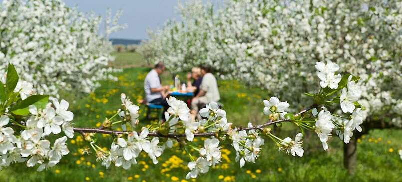 Lieber Obstwein statt Playstation