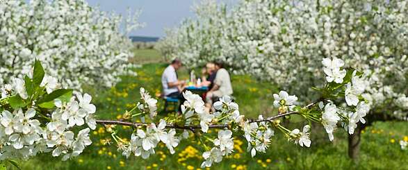 Lieber Obstwein statt Playstation