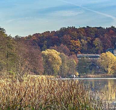 Blick über den Schermützelsee