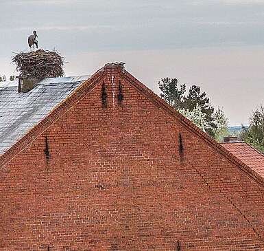 Die Dächer des Storchendorfes Rühstädt