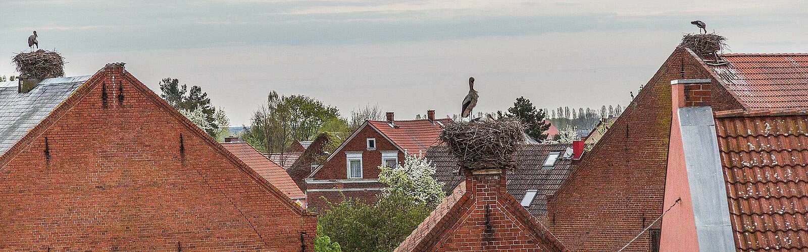 Die Dächer des Storchendorfes Rühstädt,
            
        
                Foto: TMB Tourismus-Marketing Brandenburg GmbH/Yvonne Bleeck