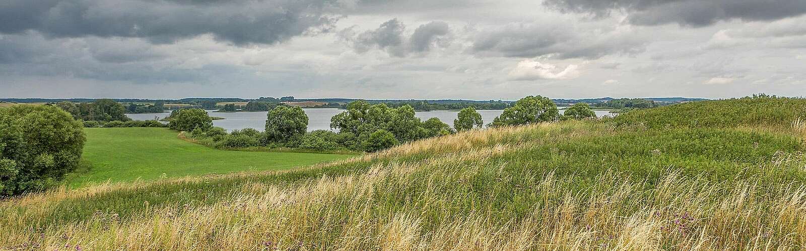 Blick auf den Dammsee bei Fürstenwerder,
            
        
                Foto: TMB Tourismus-Marketing Brandenburg GmbH/Steffen Lehmann