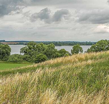 Fürstenwerder: Das Dorf aus dem Roman