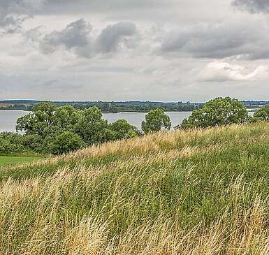 Blick auf den Dammsee bei Fürstenwerder