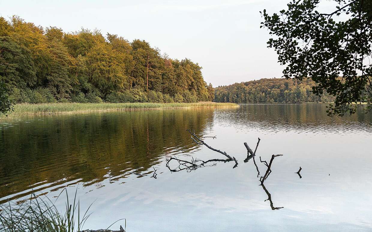 Blick über den Regenbogensee