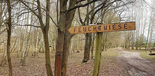 Wildgehege Glauer Tal