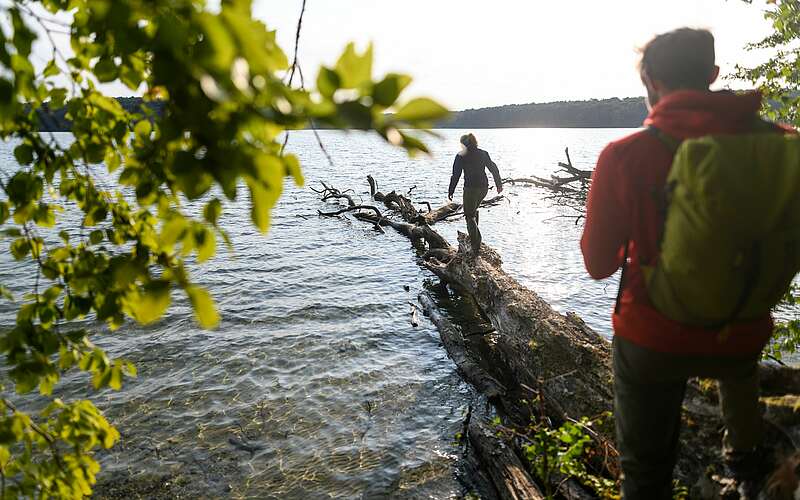 



    
        
                Wanderer am Stechlinsee,
            
        
                Foto: TMB Tourismus-Marketing Brandenburg GmbH/Wolfgang Ehn
            
    
