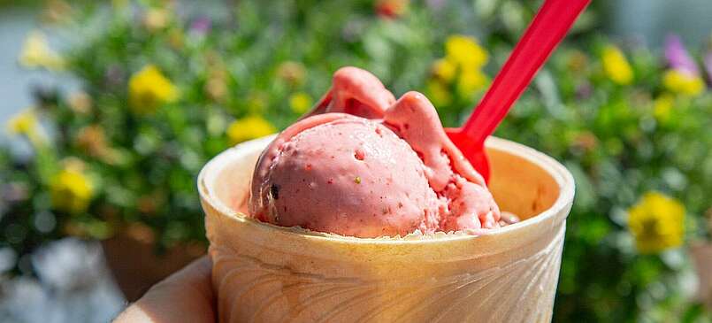 Die besten Eiscafés in Brandenburg – Tipps zum Eis essen