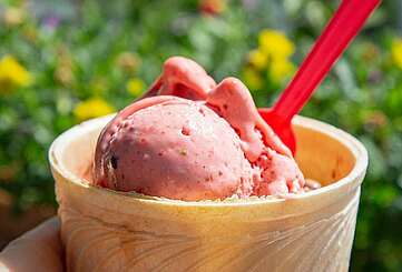 Die besten Eiscafés in Brandenburg