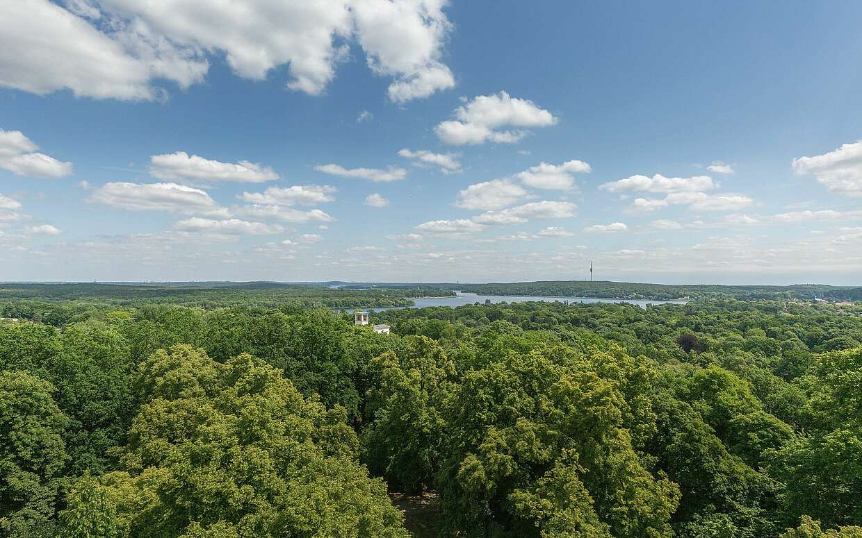 Blick über die Gartenanlage auf dem Pfingstberg