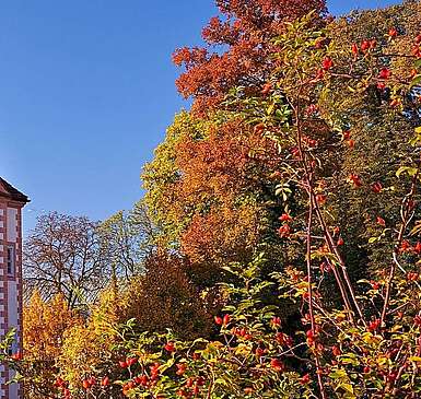 Schloss Königs Wusterhausen