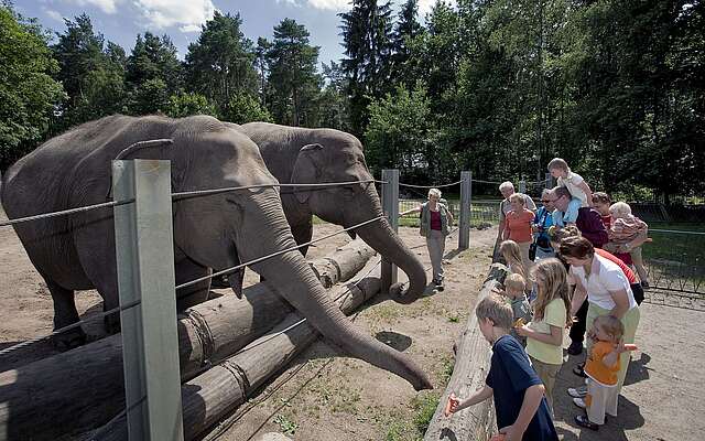 Tierpark Cottbus