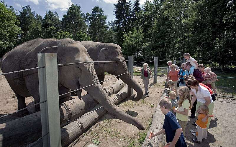 Tierpark Cottbus