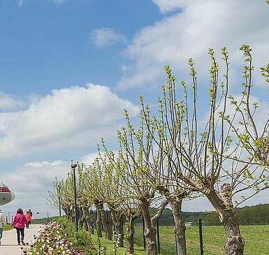Ein Ausflug zu „Lady Agnes“ ins Havelland