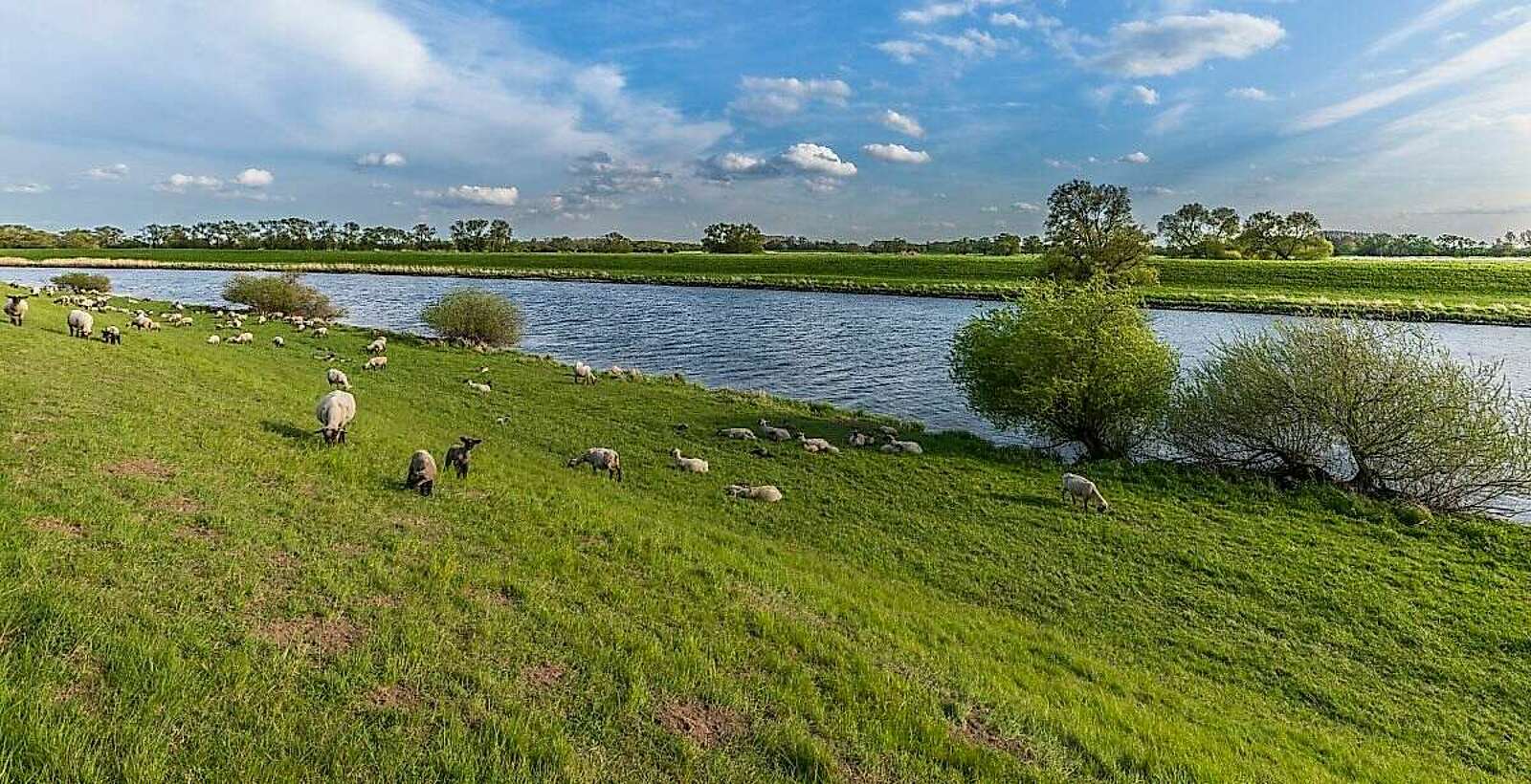 An der Elbe bei Rühstädt,
            
        
                Foto: TMB Tourismus-Marketing Brandenburg GmbH/Steffen Lehmann