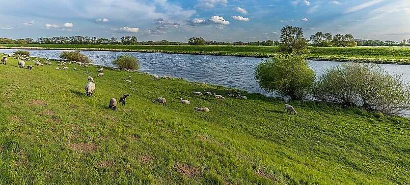 Potsdam und Flusslandschaften Havel und Elbe in 5 Tagen