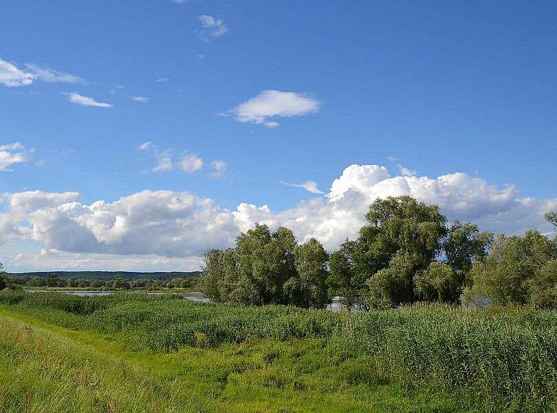 An der Oder
