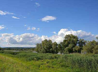 An der Oder