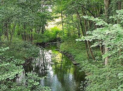 Spaziergang an der Fangschleuse