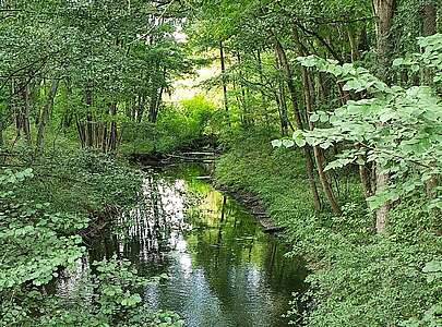 Spaziergang an der Fangschleuse