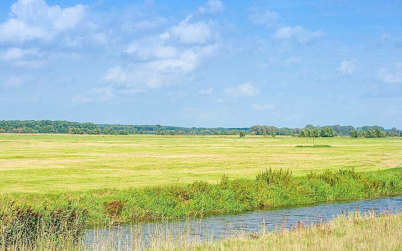



    
        
                Die Weite der Natur hinter der Löcknitz,
            
        
                Foto: TMB Tourismus-Marketing Brandenburg GmbH/Steffen Lehmann
            
    
