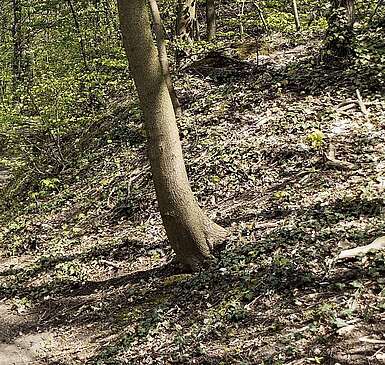 Wanderweg am Wasser bei Rüdersdorf