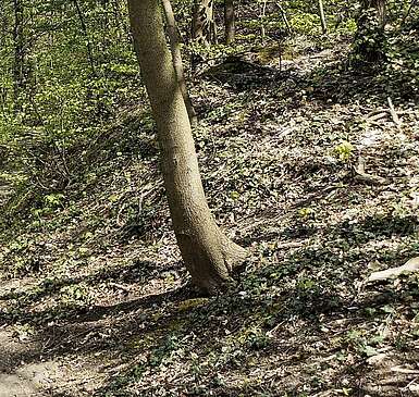 66-Seen-Weg: Auf den Spuren des Kalks
